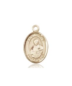 St. Pius X Charm - 85248 Saint Medal